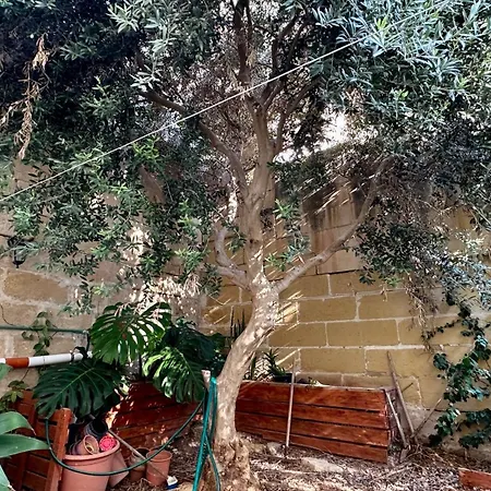 Taz-zebbuga Maisonette - Bugibba, *