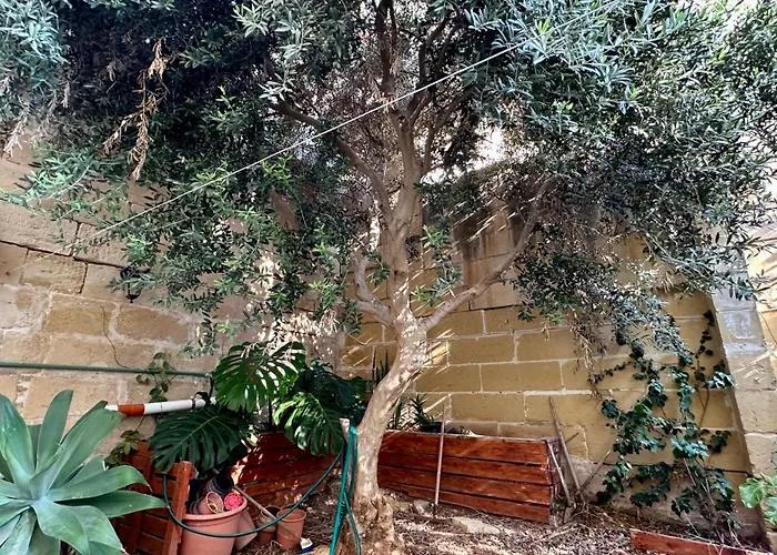 Taz-zebbuga Maisonette - Bugibba, *